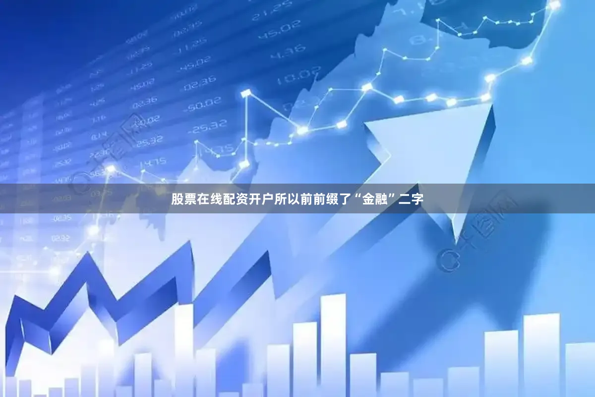 股票在线配资开户所以前前缀了“金融”二字